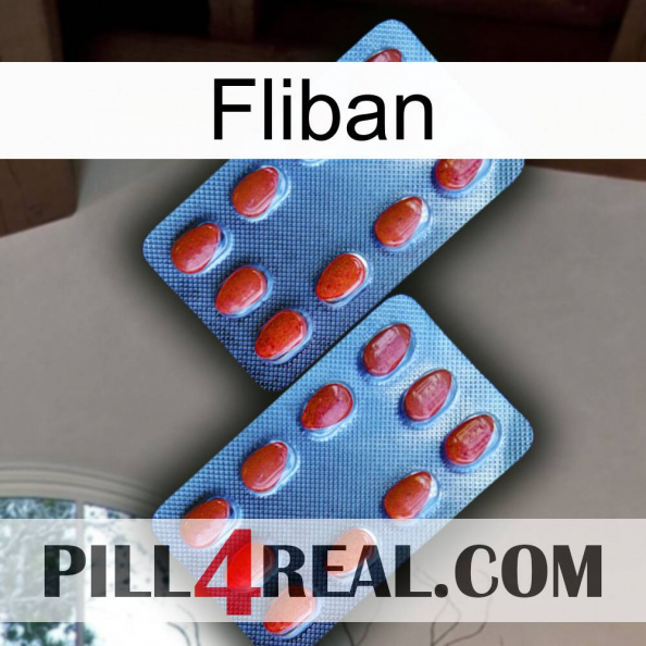 Fliban 05.jpg